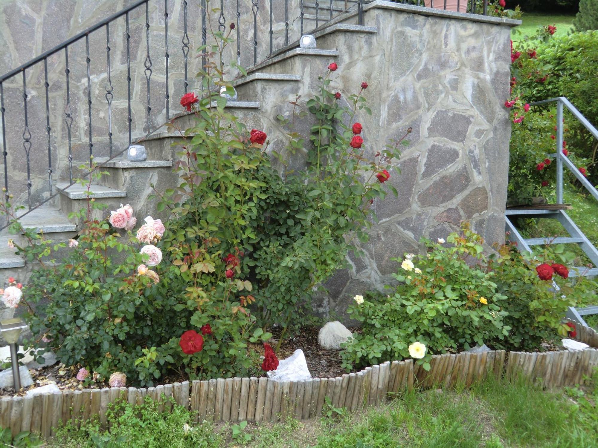Alpenblick Bed & Breakfast Vipiteno Exteriér fotografie