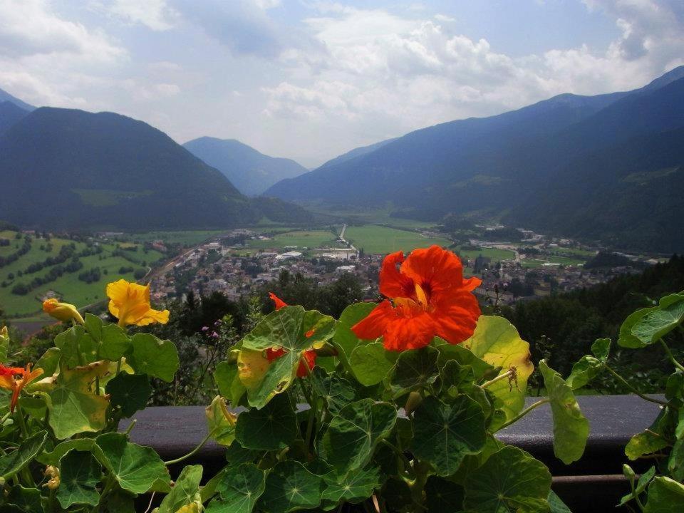 Alpenblick Bed & Breakfast Vipiteno Exteriér fotografie